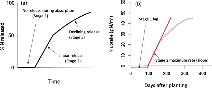 Modelling Sugarcane Nitrogen Uptake Patterns Modelling Sugarcane Nitrogen Uptake Patterns